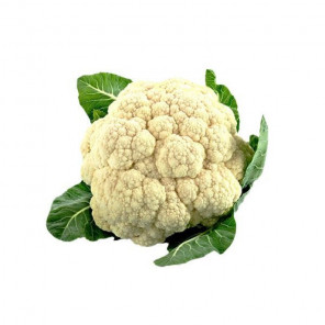 Couve-Flor Orgânico