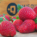 Morango Orgânico 250g