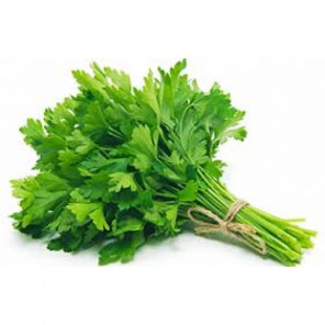 Salsa Orgânica