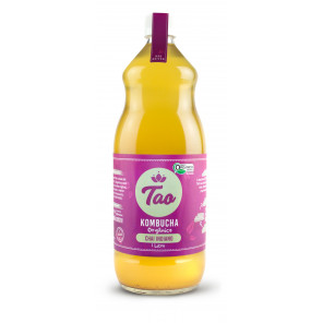 Kombucha TAO Chai Indiano Orgânica 1 litro